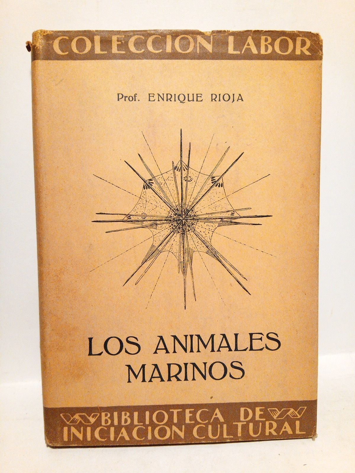 Los animales marinos