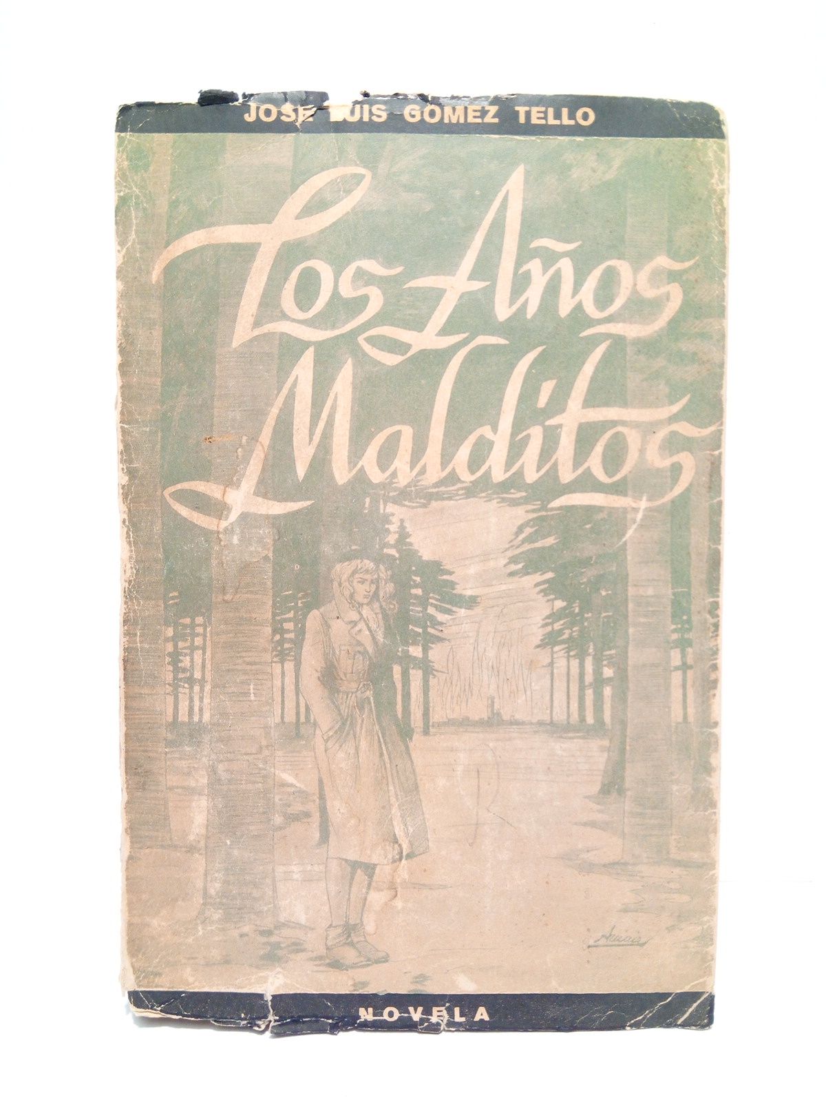 Los años malditos (novela)