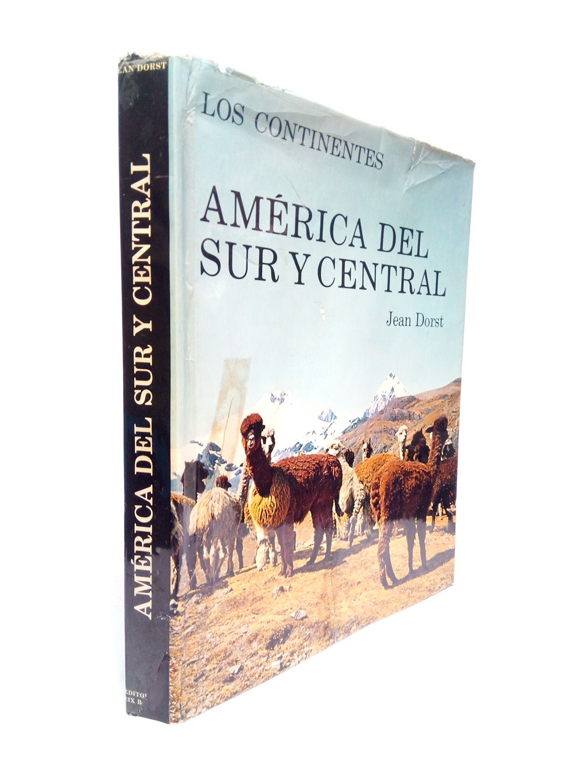 Los continentes: AMERICA DEL SUR Y CENTRAL / Tradución de …