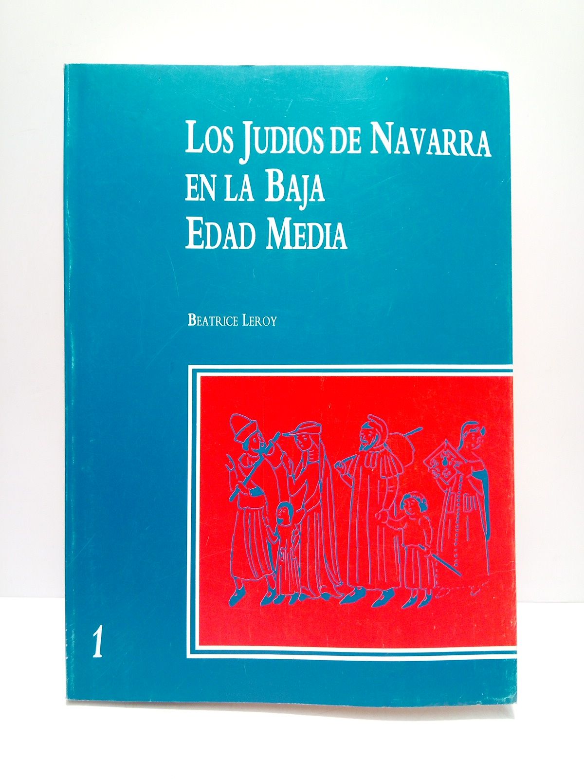 Los judíos de Navarra en la Baja Edad Media / …