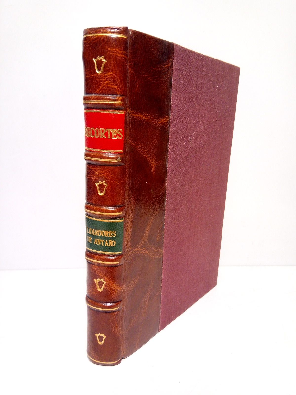 Los Romero: Apuntes biográficos de los diestros rendeños Francisco, Juan, …