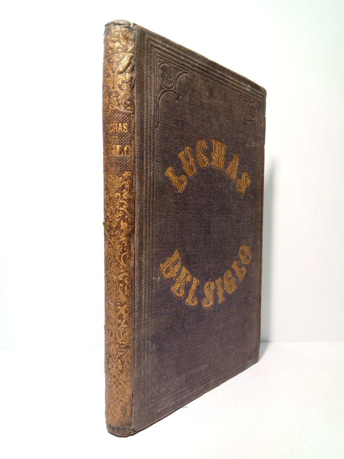 Luchas del siglo. (Novela filosófico-social)