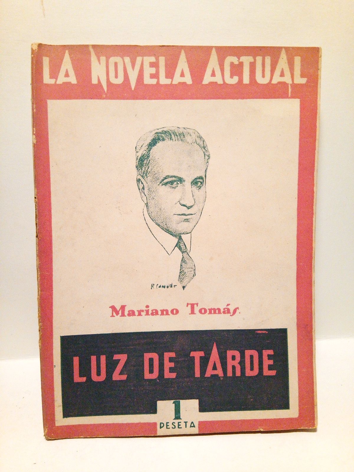 Luz de tarde. (Novela)