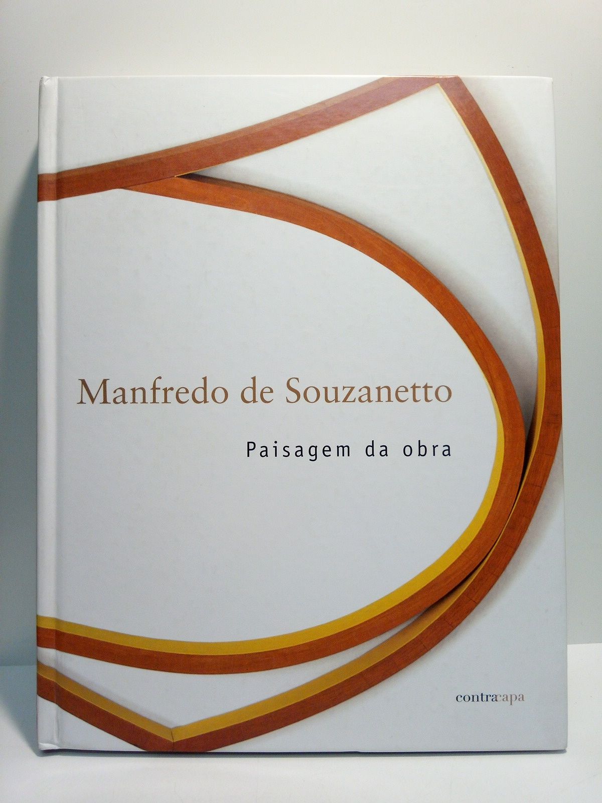 Manfredo de Souzanetto. Paisagem da obra