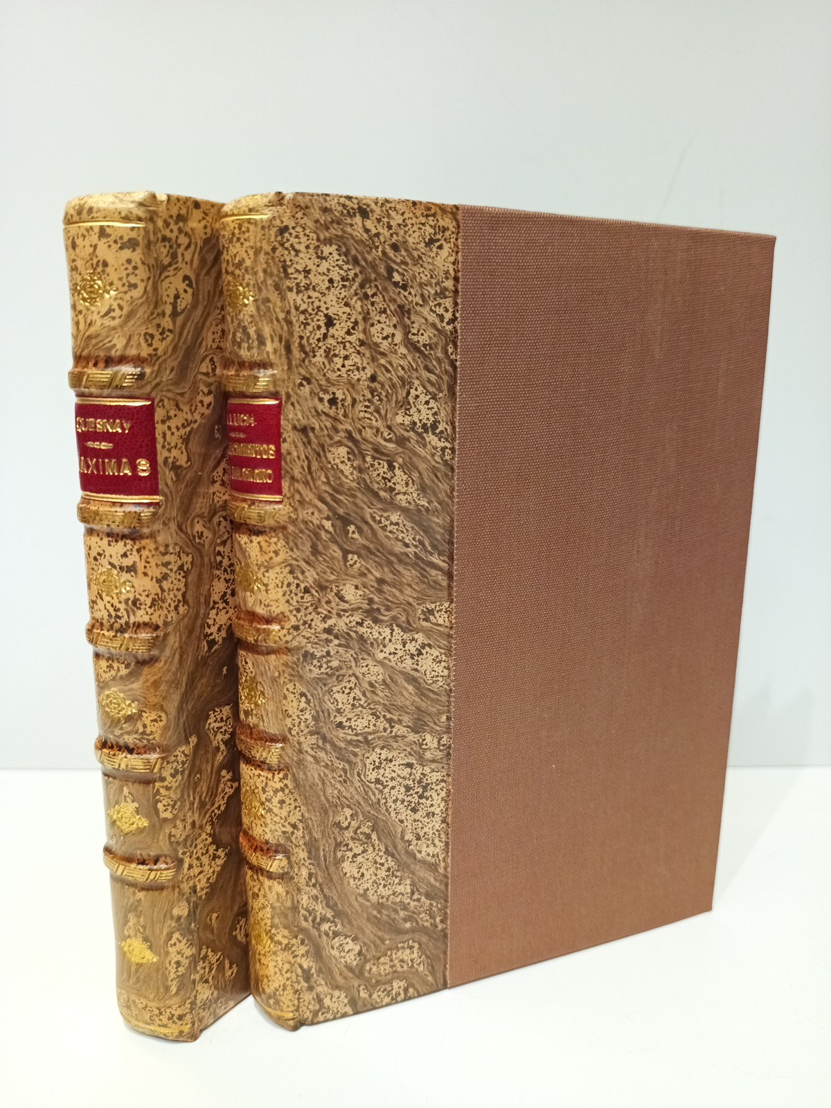 Maximas generales del gobierno economico de un reyno agricultor / …