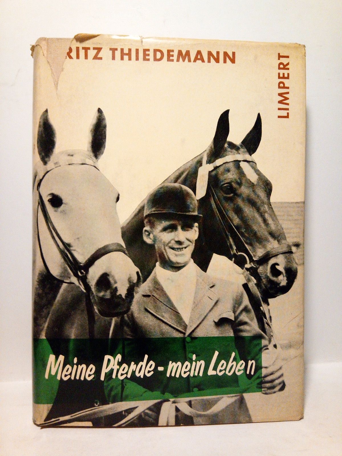 Meine Pferde - mein Leben