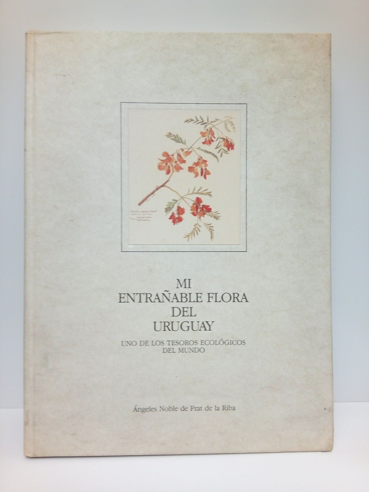 Mi entrañable flora del Uruguay: Uno de los tesoros ecológicos …