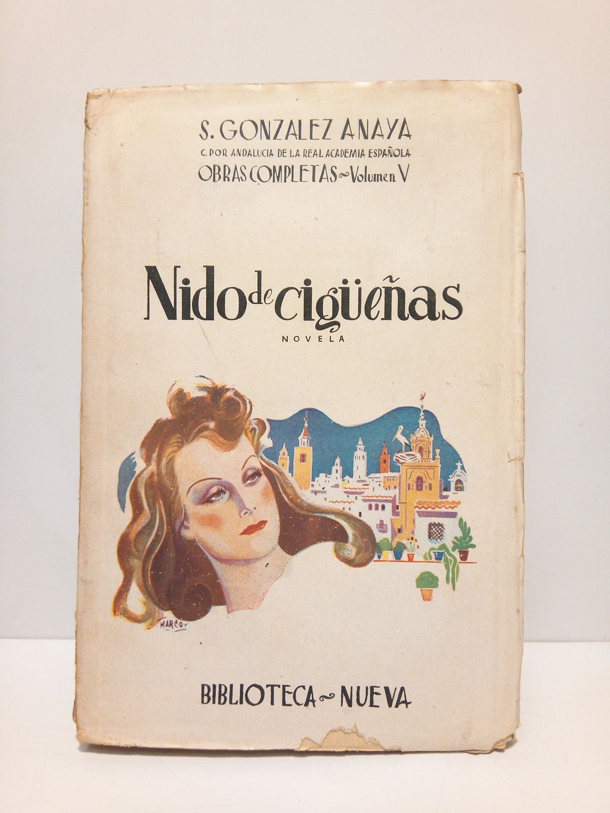 Nido de cigüeñas (Novela)