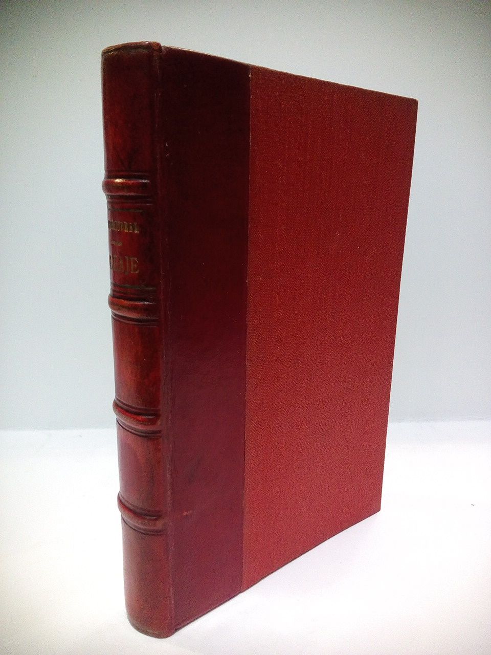 Oleaje: Amanecer de nuestro tiempo. (Novela)