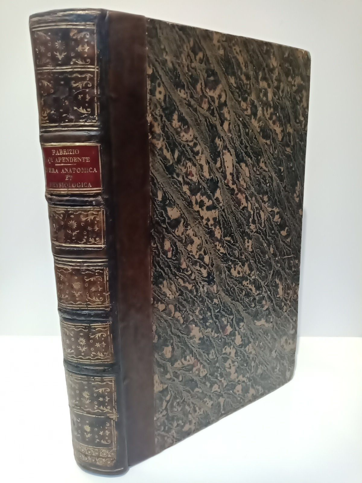 Opera Omnia Anatomica et Physiologica, Hactenus variis locis ac formis …