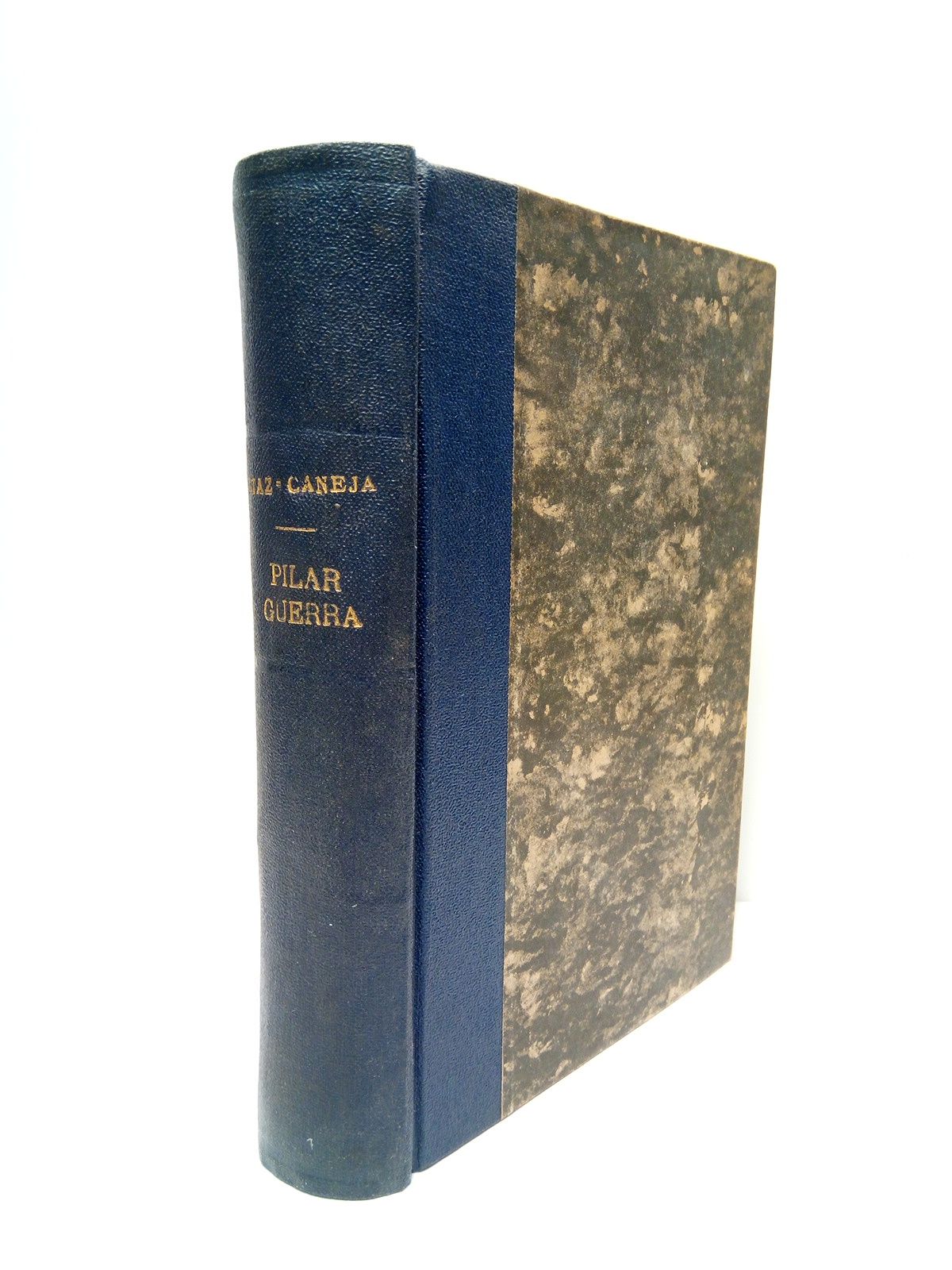 Pilar Guerra (Novela)