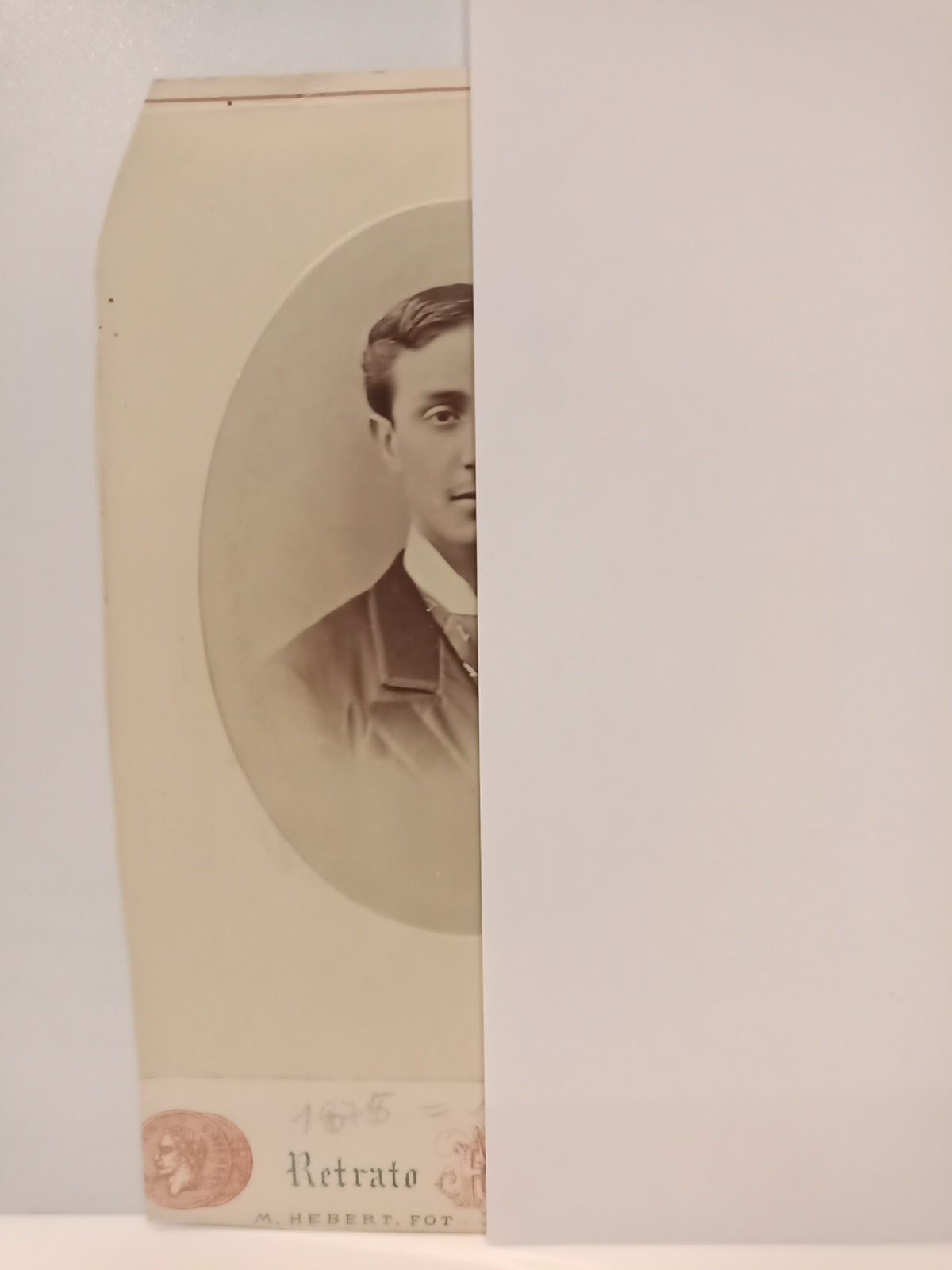 Retrato de S. M. Alfonso XII de busto enmarcado en …