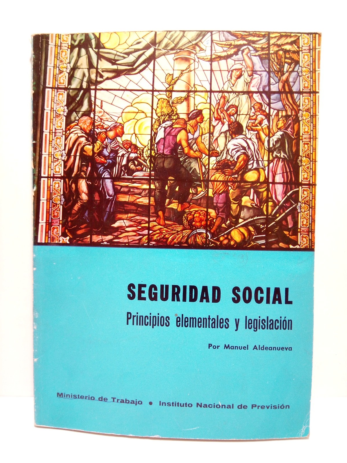 Seguridad Social: Principios elementales y legislación