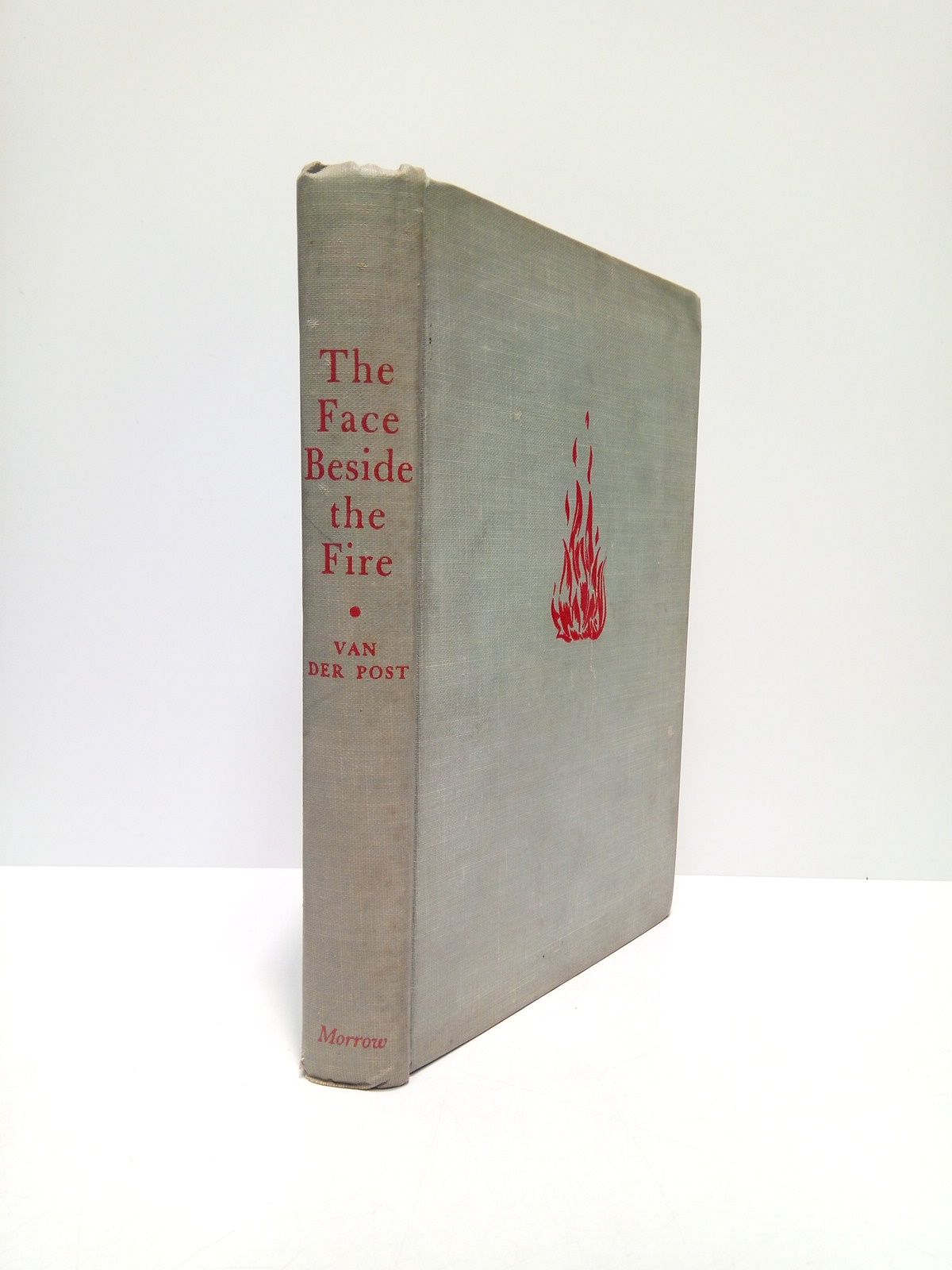 The face beside the fire / A novel by Laurens …