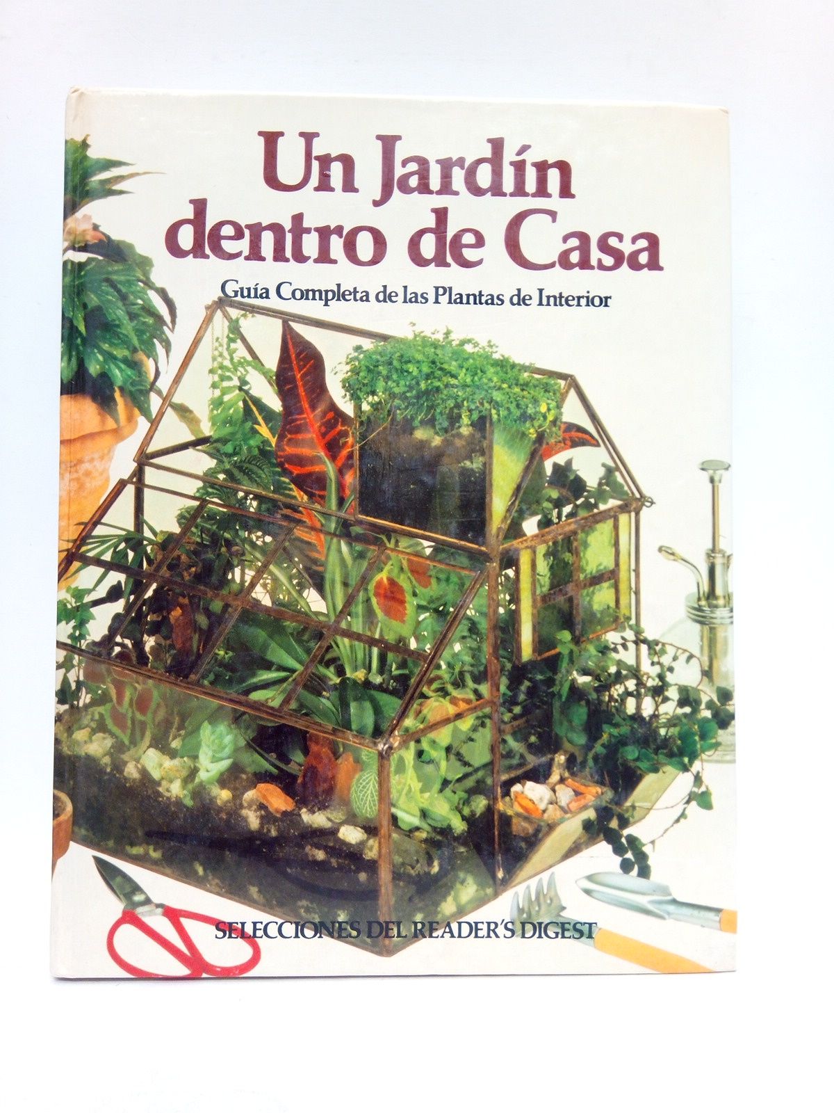 Un jardín dentro de casa. (Guía completas de plantas de …