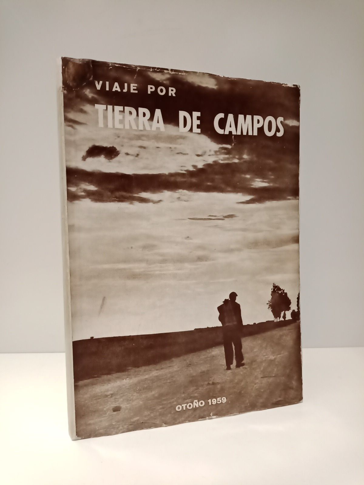 Viaje por Tierra de Campos : Otoño de 1959 / …