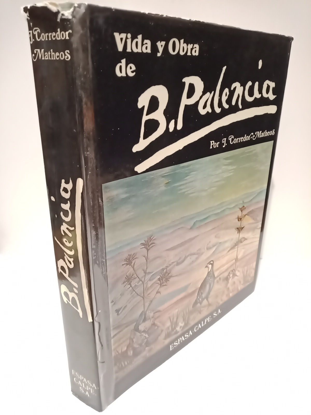 Vida y obra de Benjamín Palencia