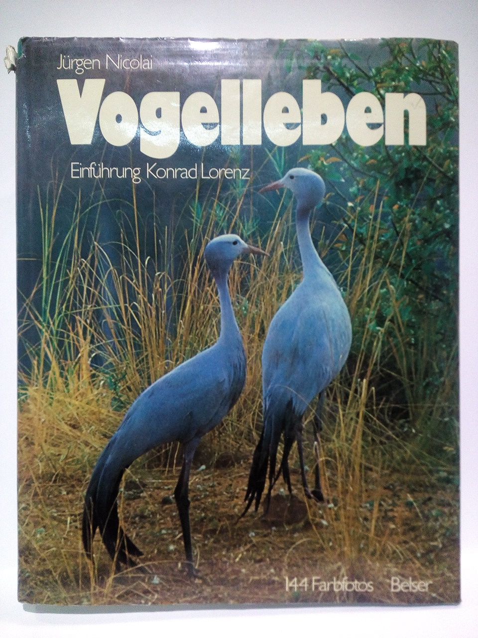 Vogelleben / Einführung von Konrad Lorenz