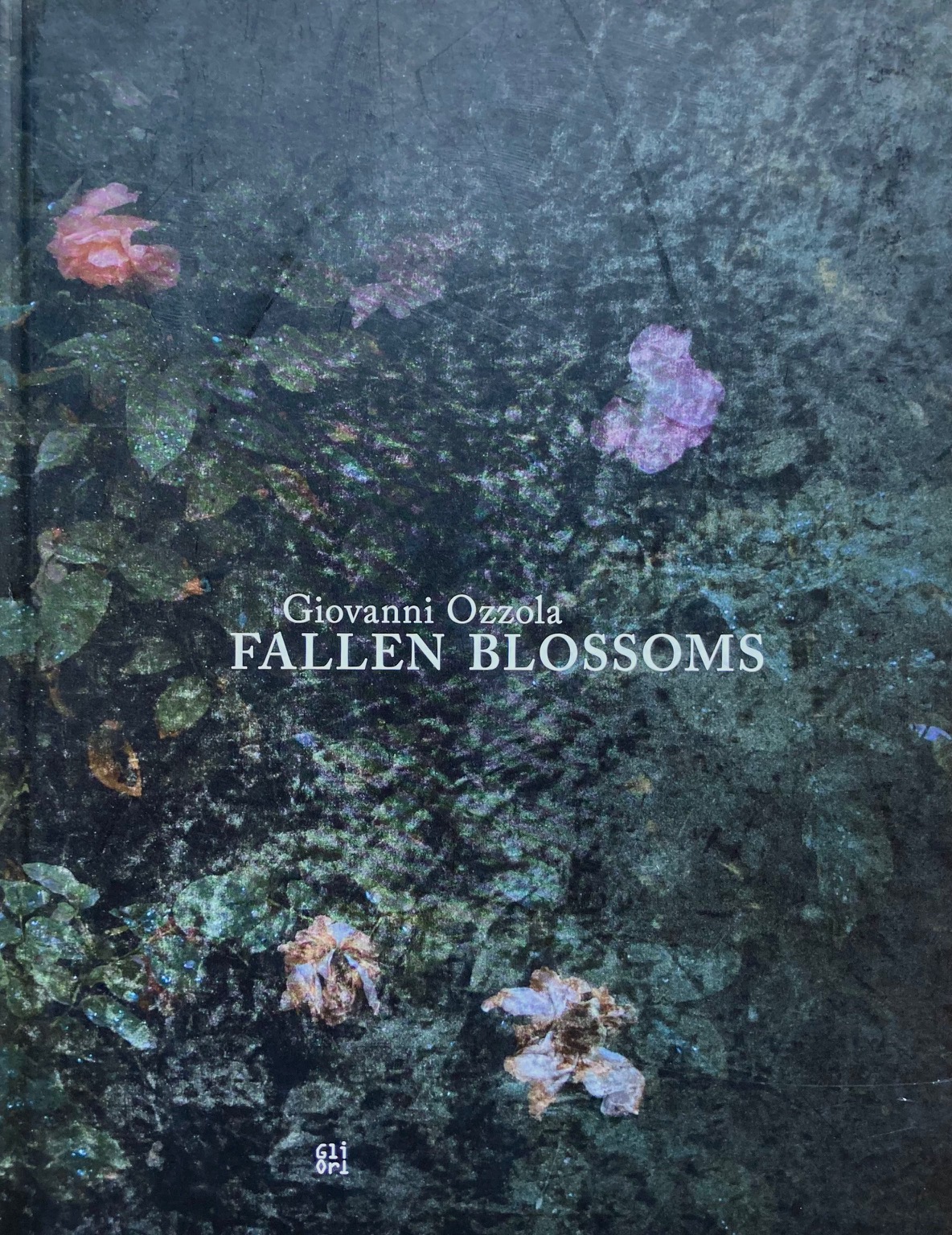 Fallen blossoms.