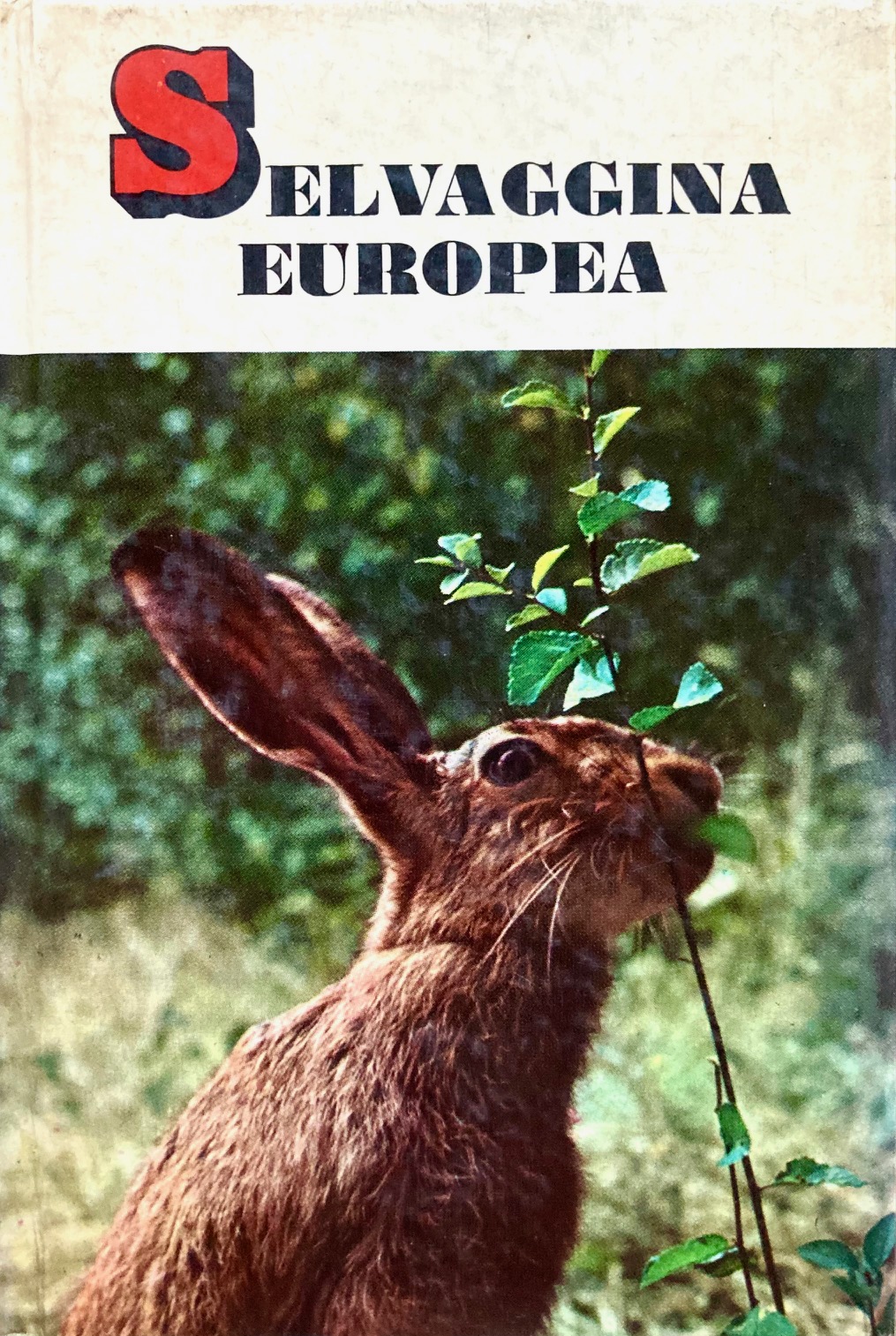 Selvaggina europea