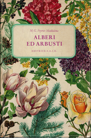 Alberi ed arbusti