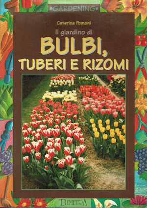 Bulbi, tuberi e rizomi