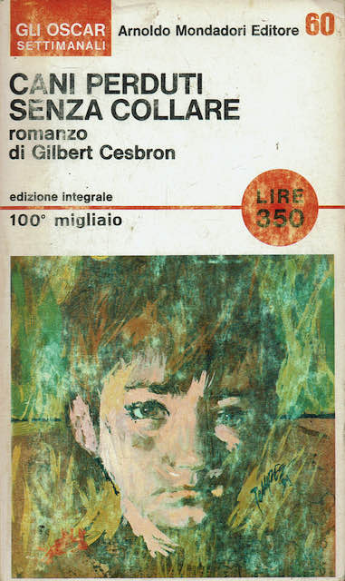 Cani perduti senza collare