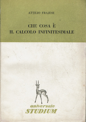 Che cosa è il calcolo infinitesimale