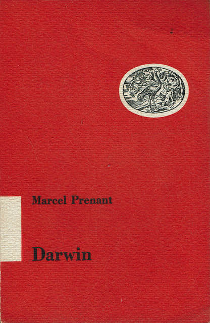 Darwin