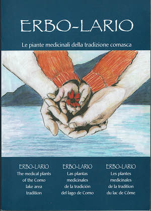 Erbo-Lario. Le piante medicinali della tradizione comasca