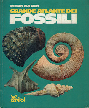 Grande atlante dei fossili