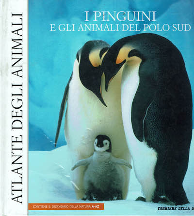 I pinguini e gli animali del polo sud