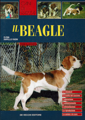 Il Beagle