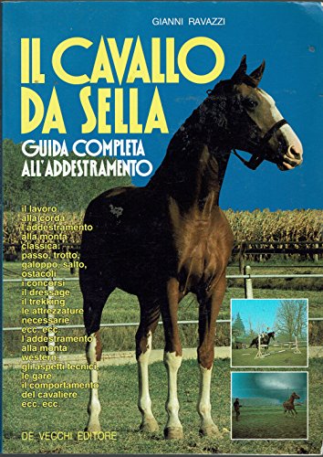 Il cavallo da sella