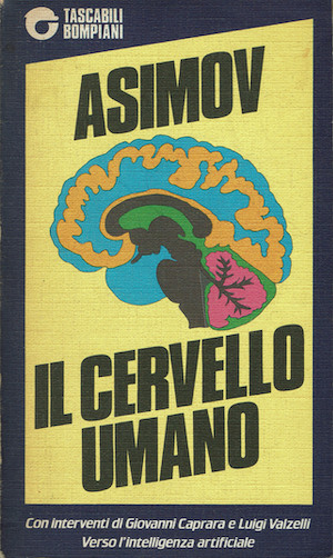 Il cervello umano