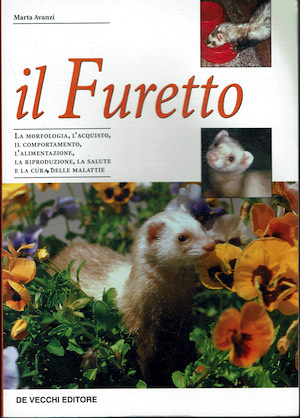 Il Furetto