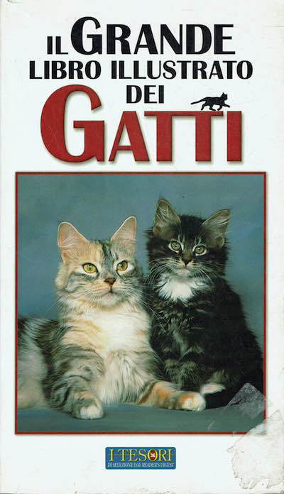 Il grande libro illustrato dei Gatti