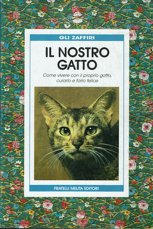 Il nostro gatto