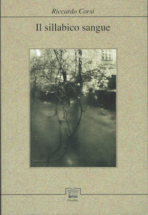 Il sillabico sangue