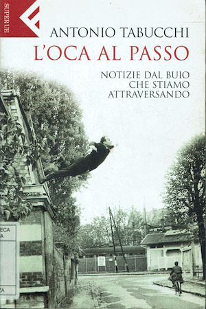 L'oca al passo Notizie dal buio che stiamo attraversando