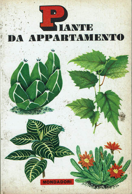 Piante da appartamento