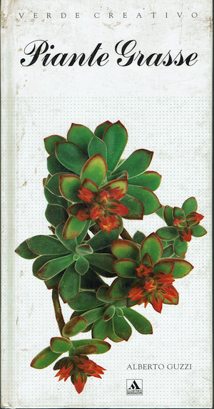Piante grasse