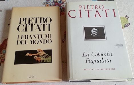 Pietro Citati stock 2 libri : I frantumi del mondo …