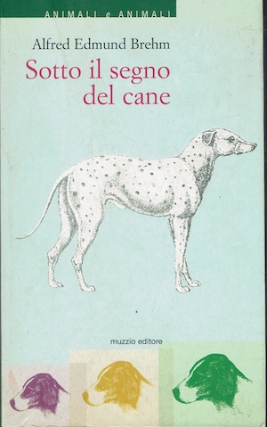 Sotto il segno del cane