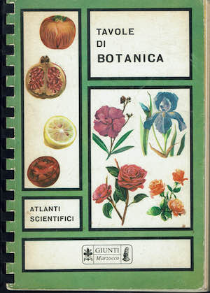 Tavole di botanica