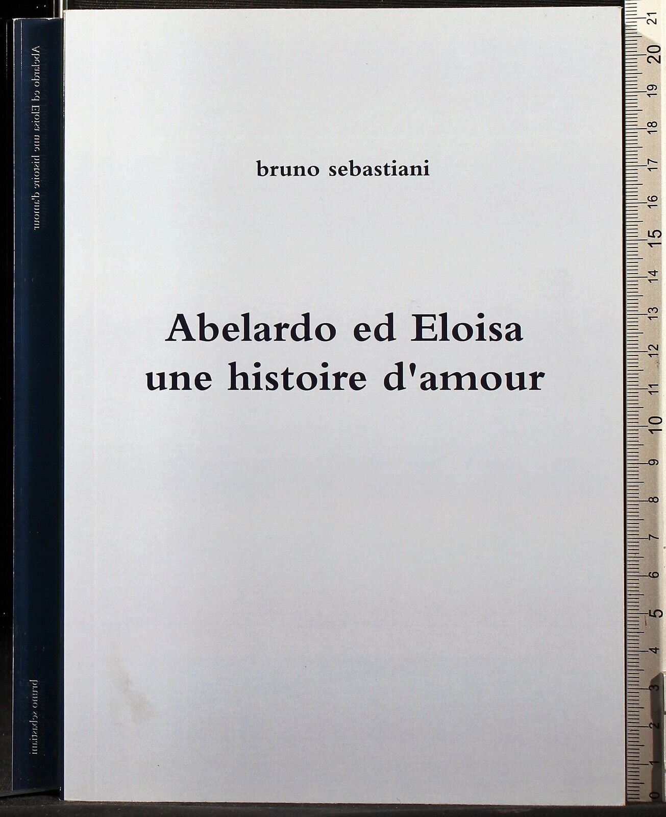 Abelardo ed Eloisa una histoire d'amour