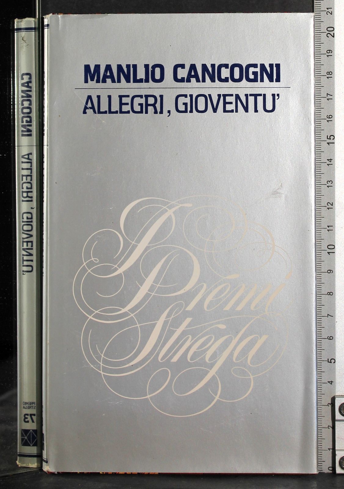 Allegri, gioventù