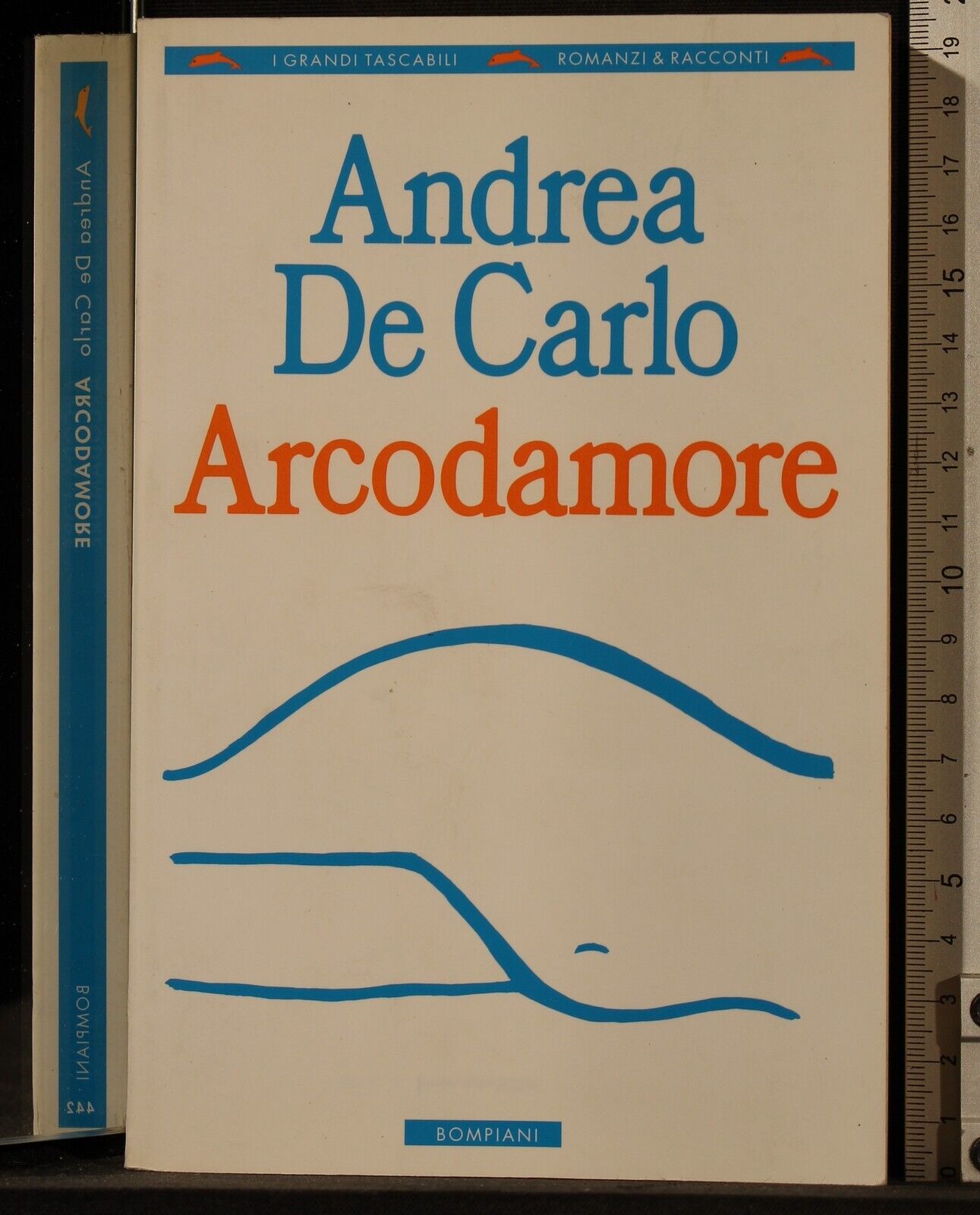 Arcodamore