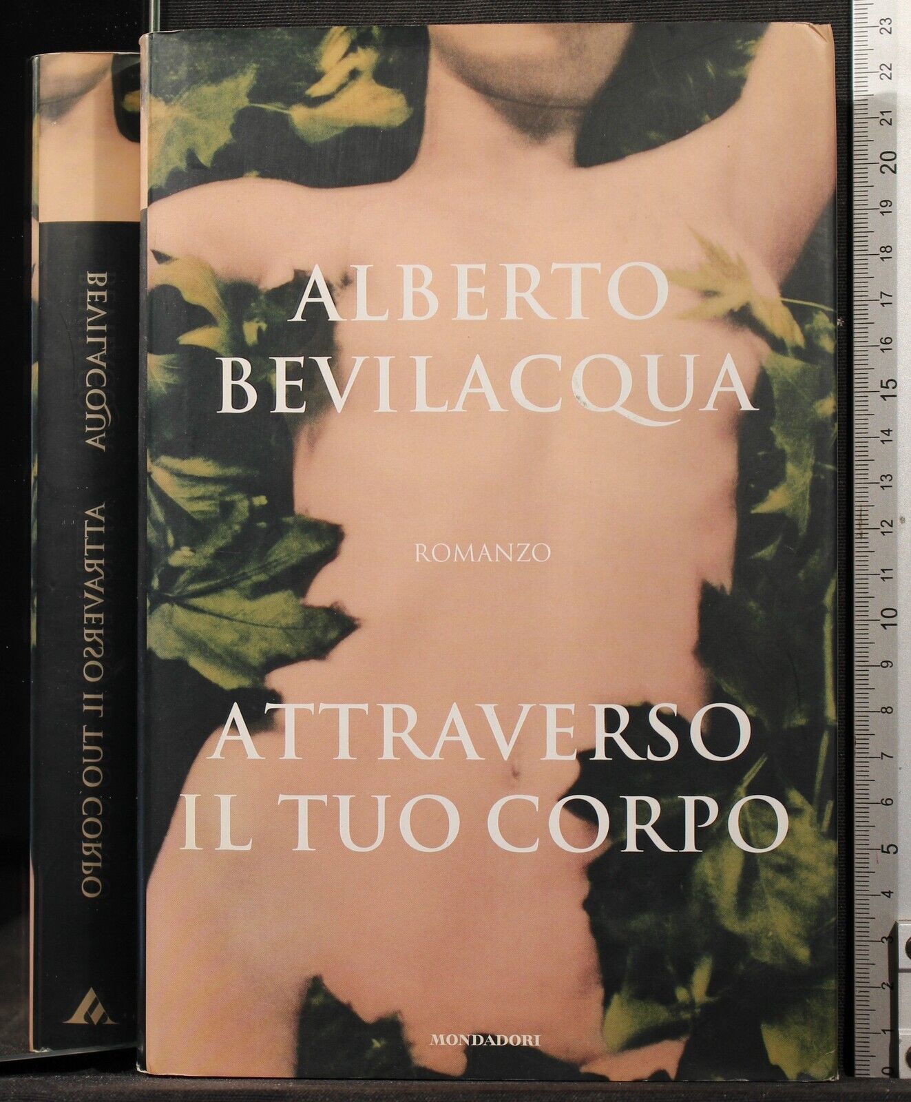 Attraverso il tuo corpo