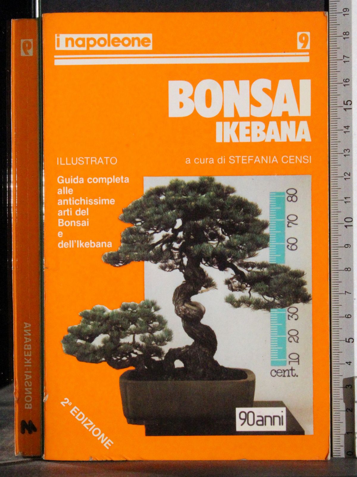 Bonsai-Ikebana